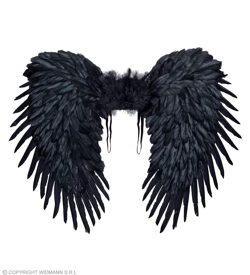 Čierne krídla 80 x 60 cm
